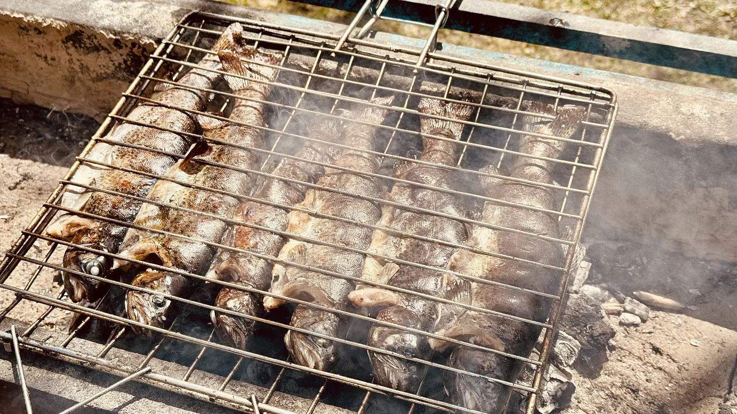 Путешествие в Пакистан.    Пакистан - это нестандартное, но очень яркое направление для тех, кто ищет аутентичность, природу без толп туристов и настоящее гостеприимство. 