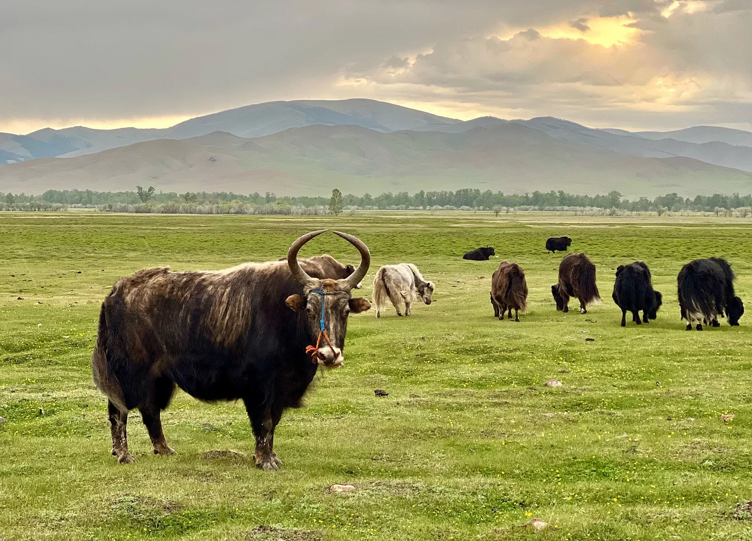 Программа тура по Монголии  «Империя кочевников: эксклюзивное путешествие»