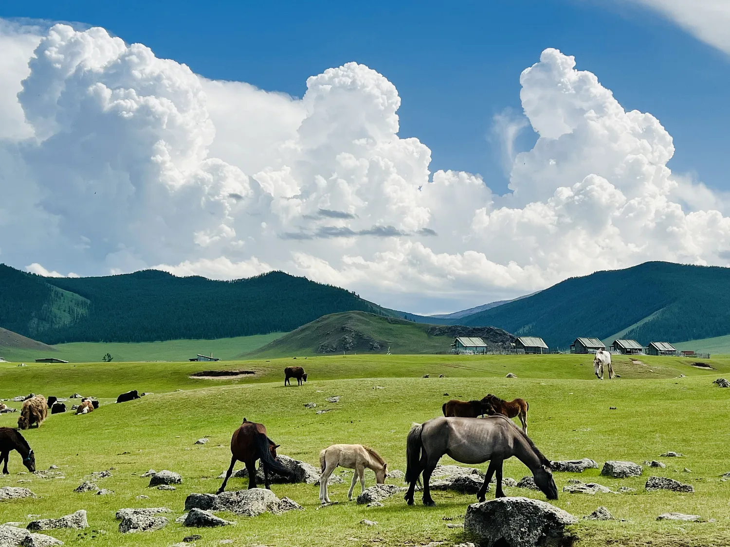 Программа тура по Монголии  «Империя кочевников: эксклюзивное путешествие»