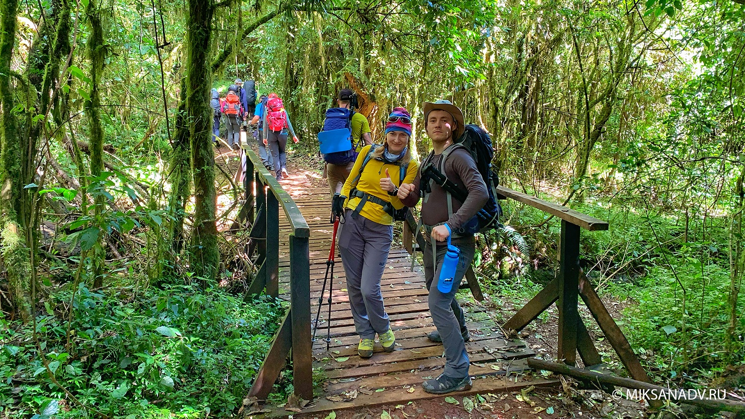 Восхождение на Килиманджаро 5895 м + сафари два дня